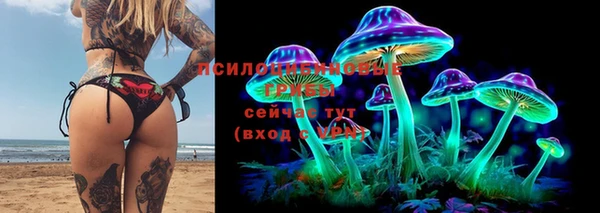 ГАЛЛЮЦИНОГЕННЫЕ ГРИБЫ Бородино