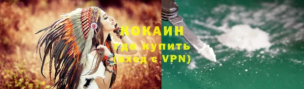 ГАЛЛЮЦИНОГЕННЫЕ ГРИБЫ Бородино