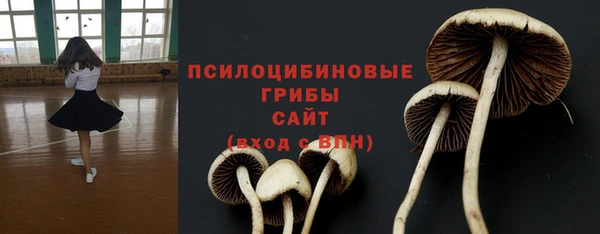 ГАЛЛЮЦИНОГЕННЫЕ ГРИБЫ Бородино