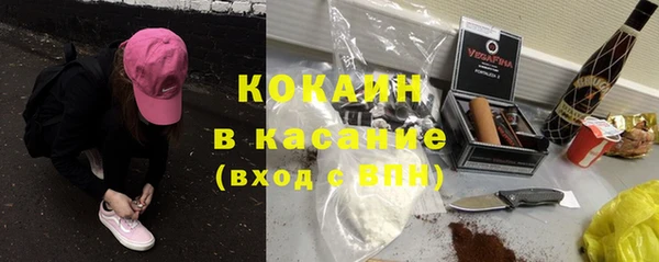 ГАЛЛЮЦИНОГЕННЫЕ ГРИБЫ Бородино